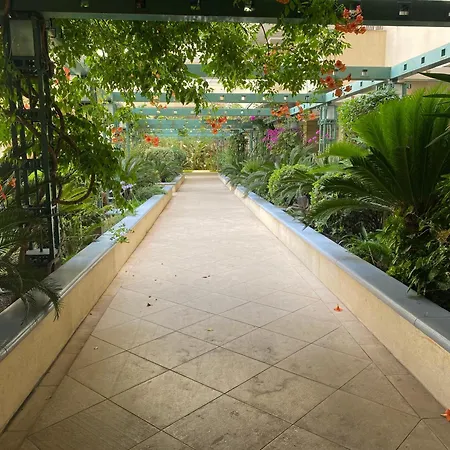 Le Grand Palais De La Mediterranee Access - Choice In