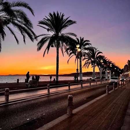 Le Grand Palais De La Mediterranee Access - Choice In *